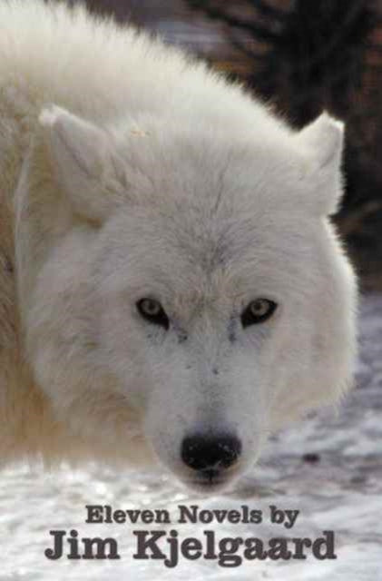 Eleven Novels by Jim Kjelgaard (complete and unabridged) including: The Spell of the White Sturgeon, The Lost Wagon, Trading Jeff and his Dog, Double Challenge, We Were There at the Oklahoma Land Run, Swamp Cat, Rescue Dog of the High Pass,
