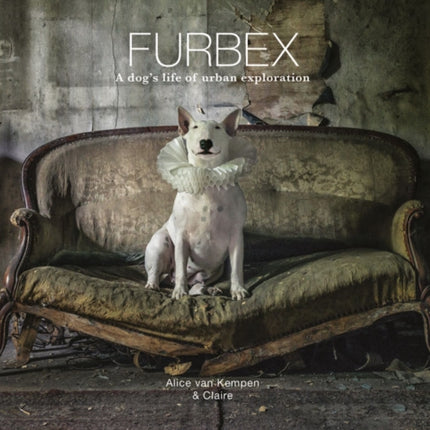 Furbex: A Dog’s Life of Urban Exploration