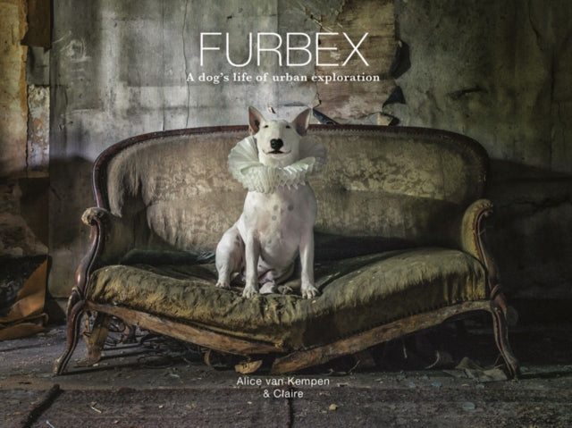 Furbex: A Dog’s Life of Urban Exploration