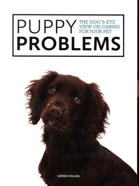 Puppy Problems: The Dog's-Eye View on Tackling Puppy Problems