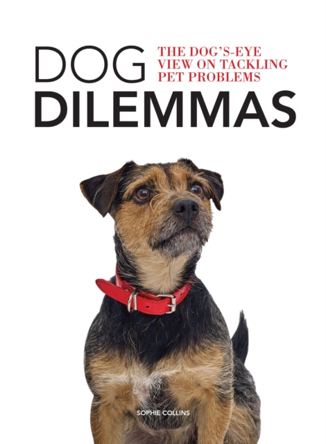 Dog Dilemmas: The Dog's-Eye View on Tackling Pet