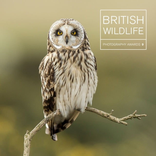 British Wildlife Photography Awards 9