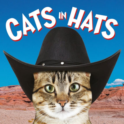 Cats in Hats