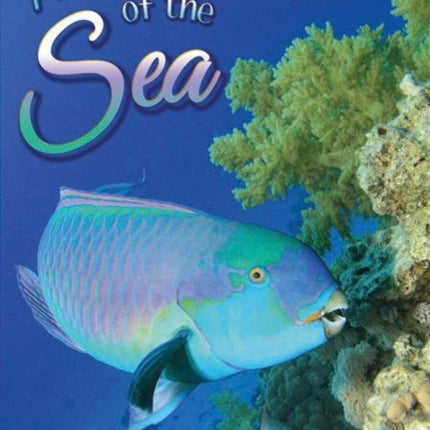 Amazing Animals of the Sea