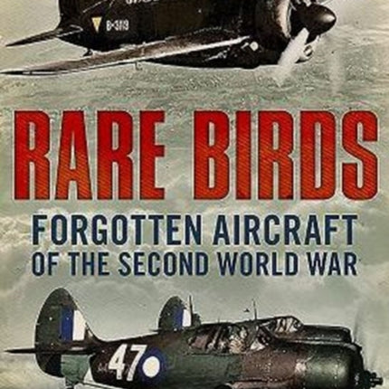 Rare Birds: Forgotten Aircraft of the Second World War