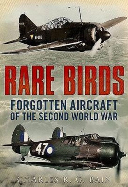 Rare Birds: Forgotten Aircraft of the Second World War