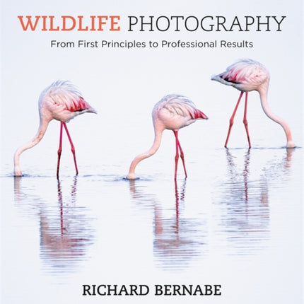 Wildlife Photography