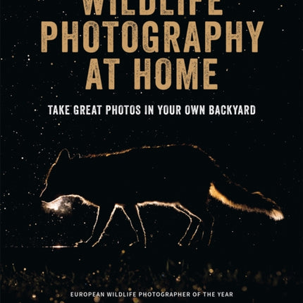 Wildlife Photography at Home