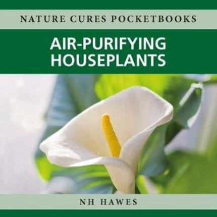 Air-Purifying Houseplants