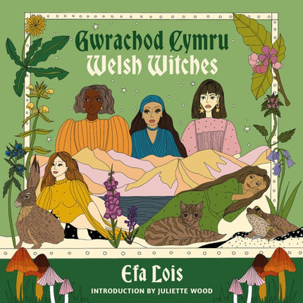 Gwrachod Cymru  Welsh Witches