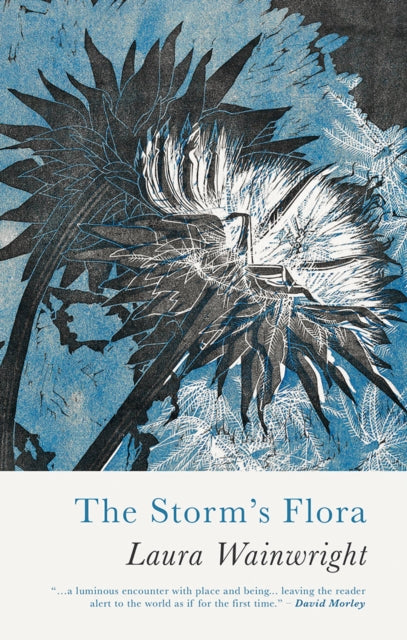 The Storms Flora