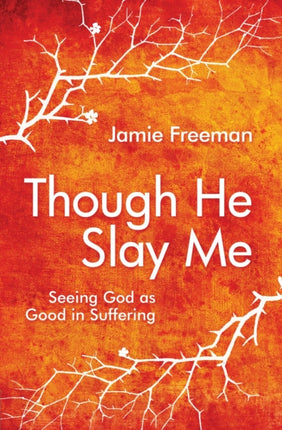 Though He Slay Me: Seeing God as Good in