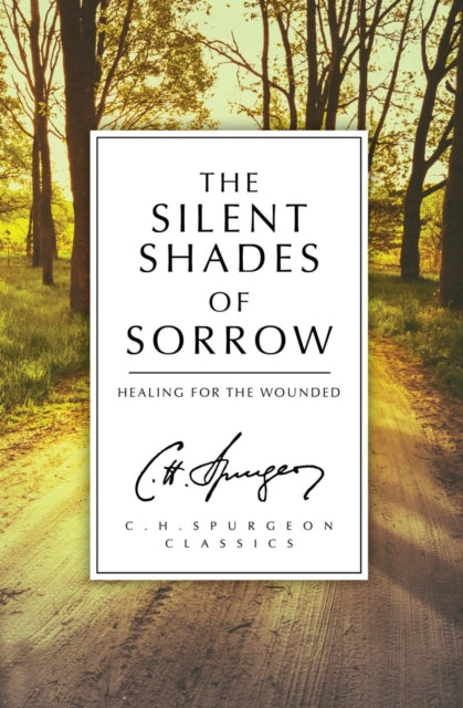 The Silent Shades of Sorrow: Healing for the Wounded