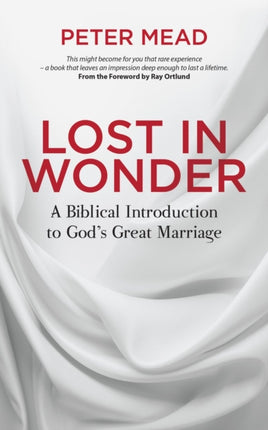 Lost in Wonder: A Biblical Introduction to God's