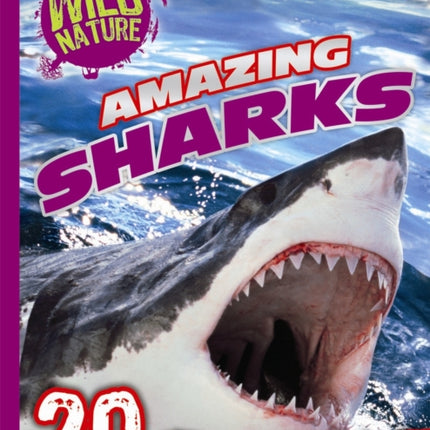 Wild Nature: Amazing Sharks