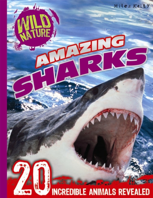 Wild Nature: Amazing Sharks