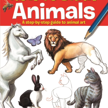 How to Draw Animals