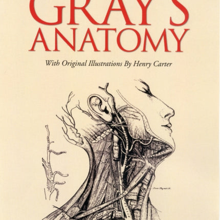 Grays Anatomy