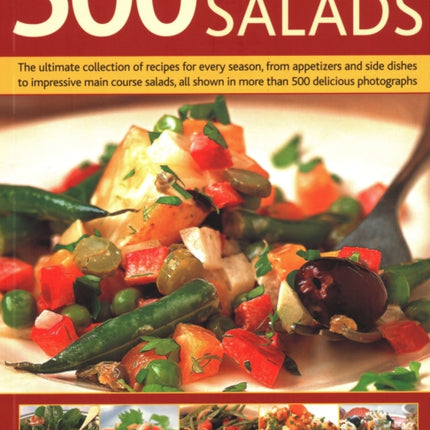 500 Best-Ever Salads: Recipes for every kind of salad from delicious appetizers and side dishes to impressive main courses, with meat, fish and vegetarian options, and over 500 colour photographs