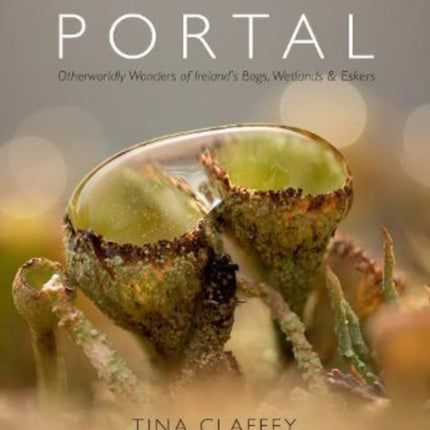 Portal: Otherworldly Wonders of Ireland's Bogs, Wetlands & Eskers