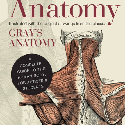 Anatomy: A Complete Guide to the Human Body, for Artists & Students