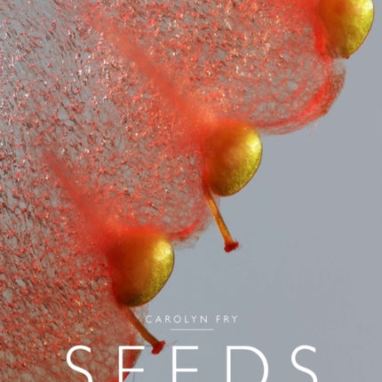 Seeds Safeguarding our future