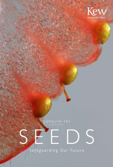 Seeds Safeguarding our future