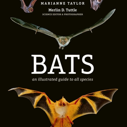 Bats: An illustrated guide to all species