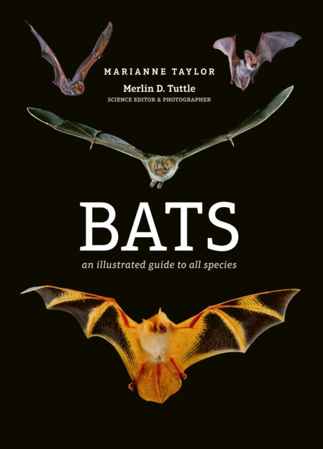 Bats: An illustrated guide to all species