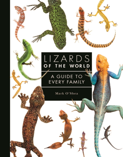 Lizards of the World: A Guide to Every Family