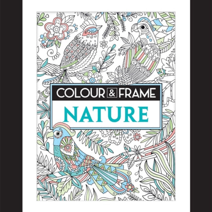 Colour and Frame Nature Colour  Frame