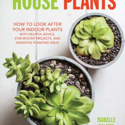 House Plants: How to Look After Your Indoor