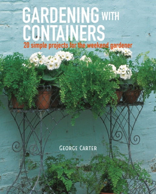 Perfect Pots for Small Spaces: 20 Creative Container Gardening Projects