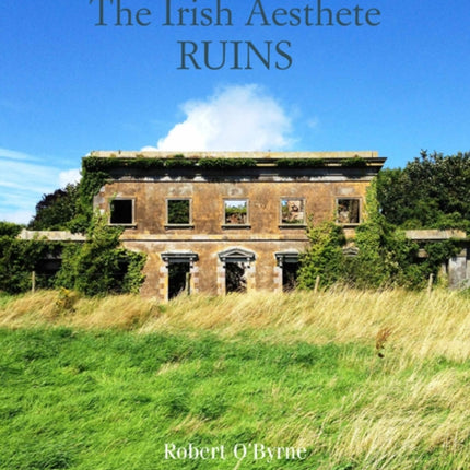 The Irish Aesthete: Ruins of Ireland