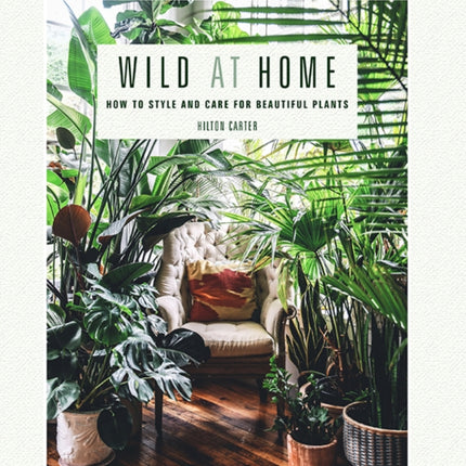 Wild at Home: How to Style and Care for Beautiful Plants