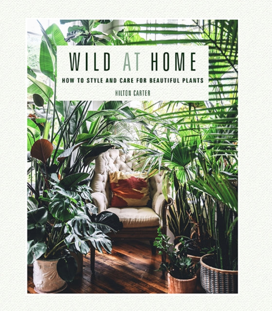 Wild at Home: How to Style and Care for Beautiful Plants