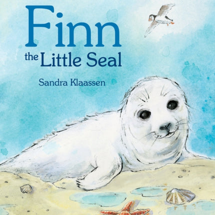 Finn the Little Seal