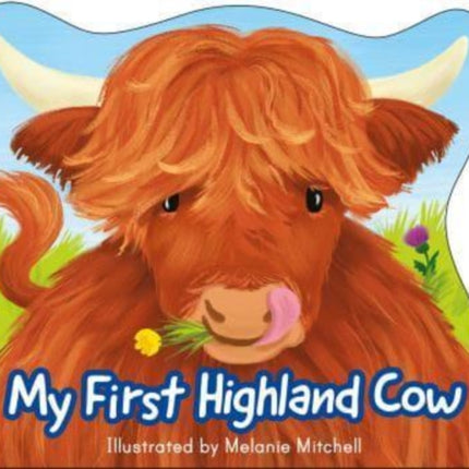 My First Highland Cow