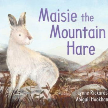 Maisie the Mountain Hare