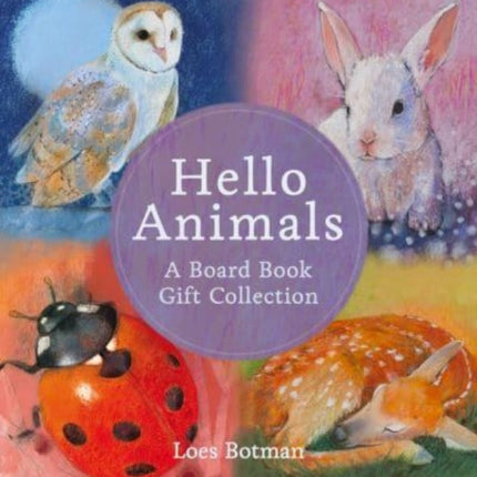 Hello Animals A Board Book Gift Collection