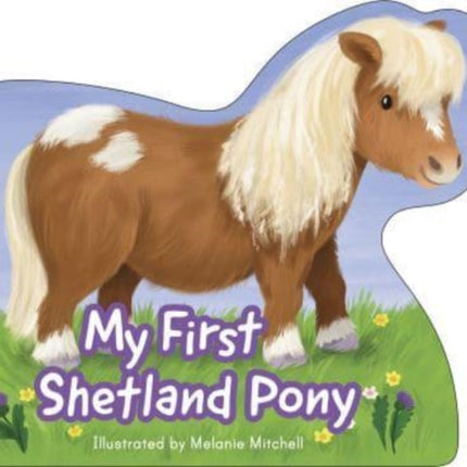 My First Shetland Pony