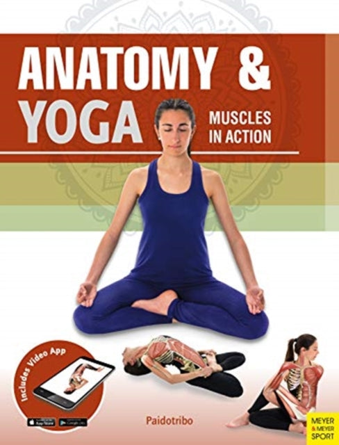 Anatomy & Yoga: Muscles in Action