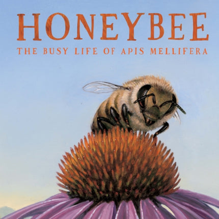 Honeybee: The Busy Life of Apis Mellifera