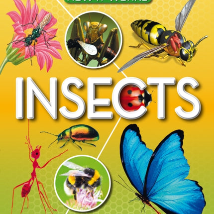 How It Works: Insects