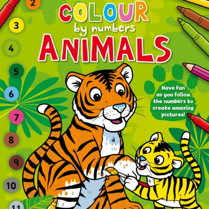 Junior Artist Colour By Numbers: Animals