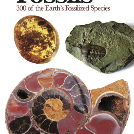 Fossils: 300 of the Earth's Fossilized Species