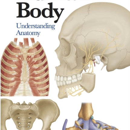 Human Body: Understanding Anatomy