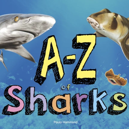 A–Z of Sharks: The alphabet of the shark world, from Angel Shark to Zebra Shark