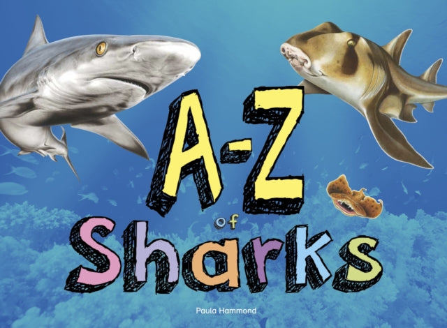 A–Z of Sharks: The alphabet of the shark world, from Angel Shark to Zebra Shark