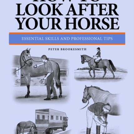 How To Look After Your Horse